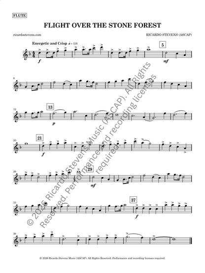 Flight Over the Stone Forest (Flute)