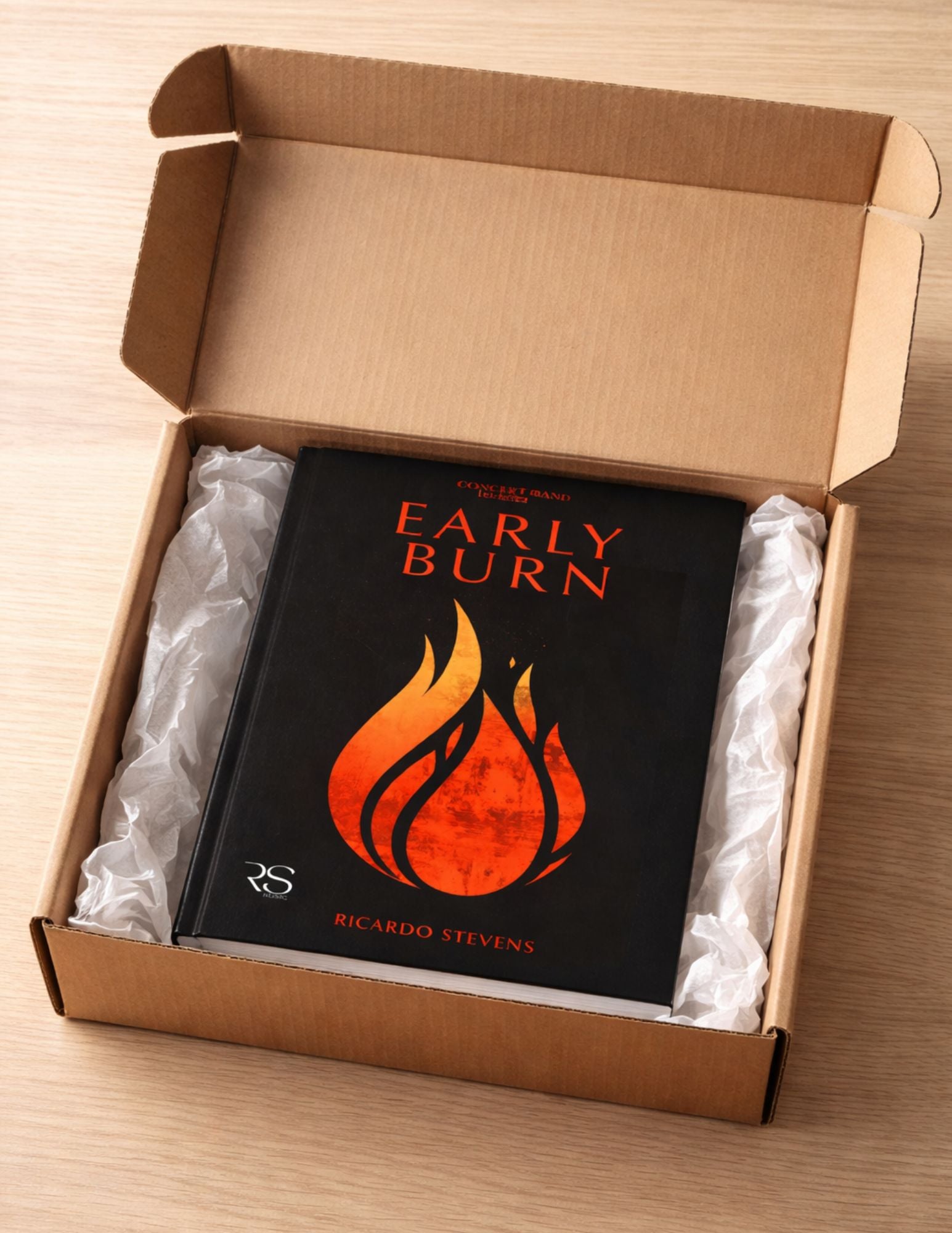 Book titled 'Early Burn' by Ricardo Stevens in an open cardboard box on a wooden surface.